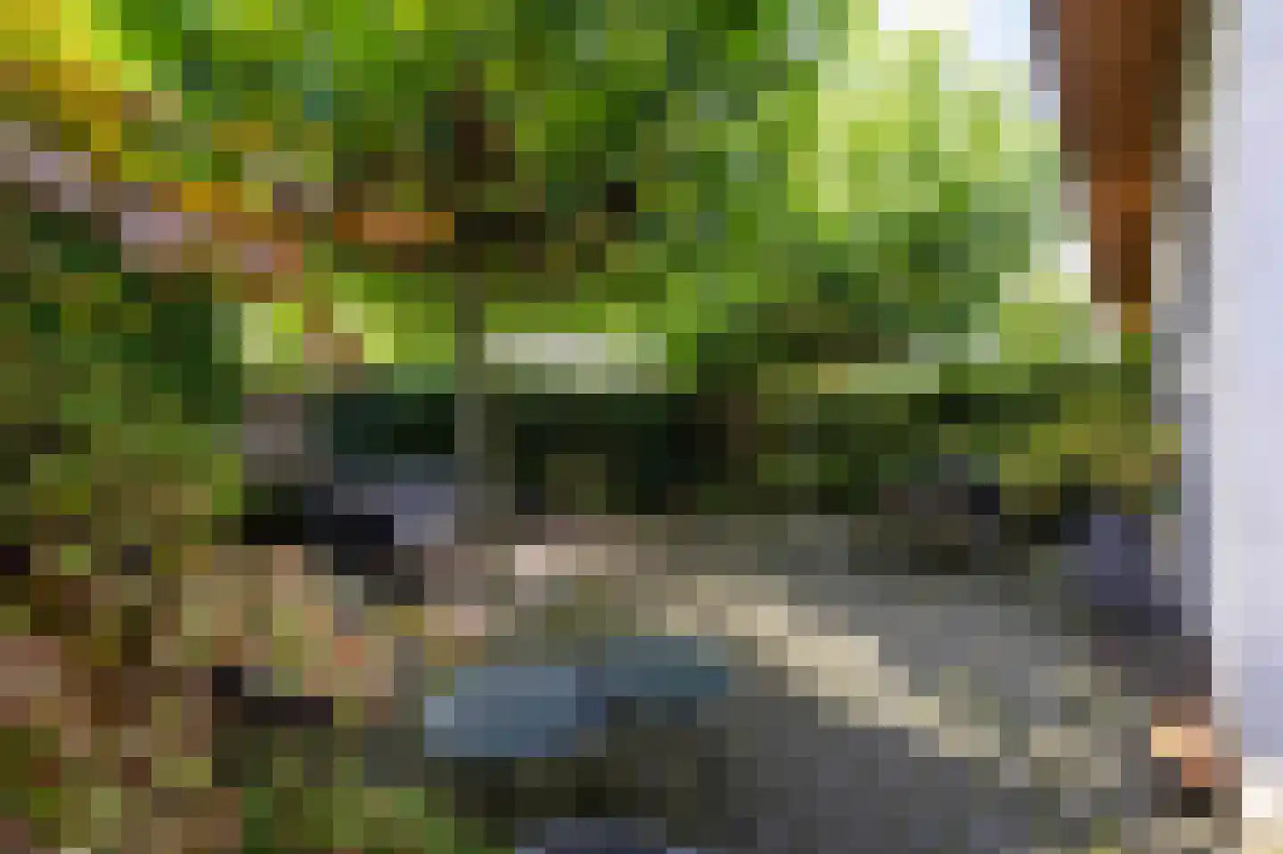 Klaaskampen 19 a Laren thumbnail 43