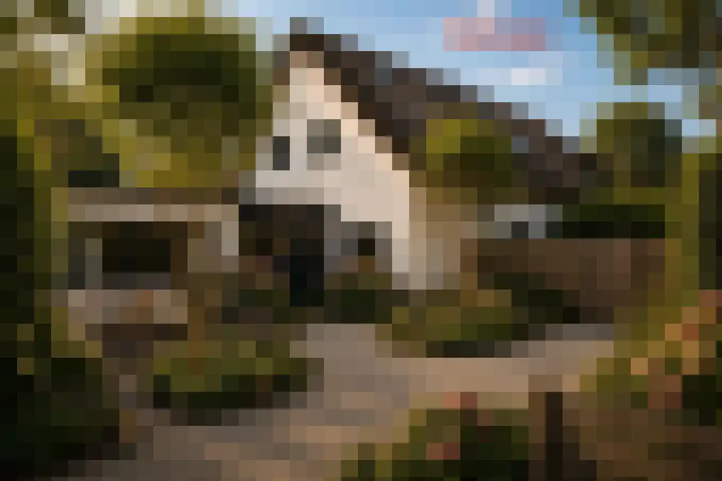 Klaaskampen 19 a Laren thumbnail 6