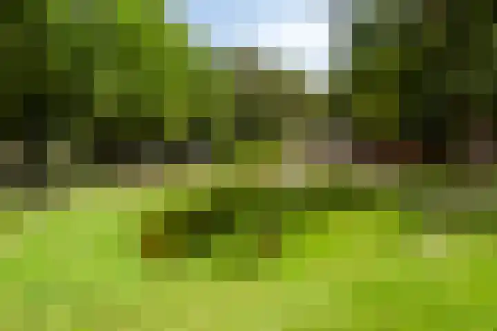 Klaaskampen 2 b Laren thumbnail 29