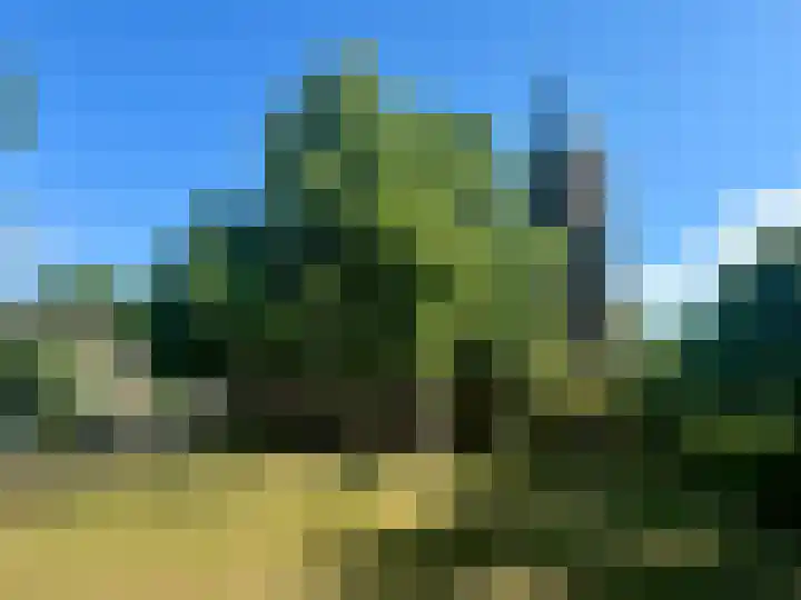 Klaaskampen 2 b Laren thumbnail 31