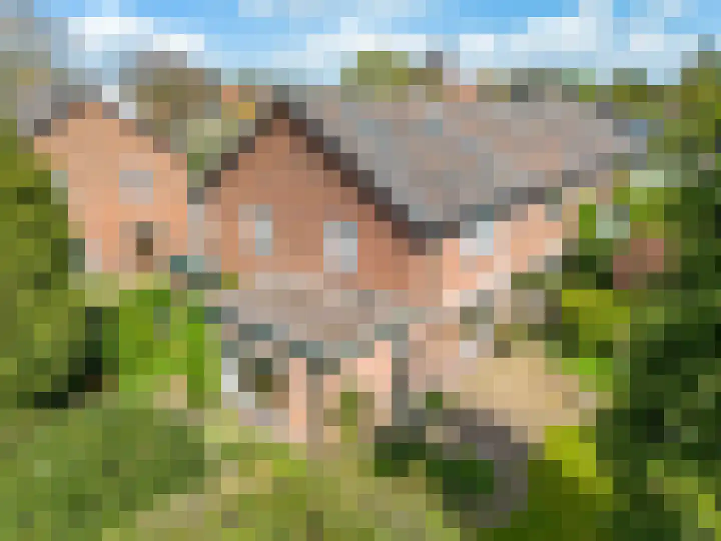 Klaaskampen 35 Laren
