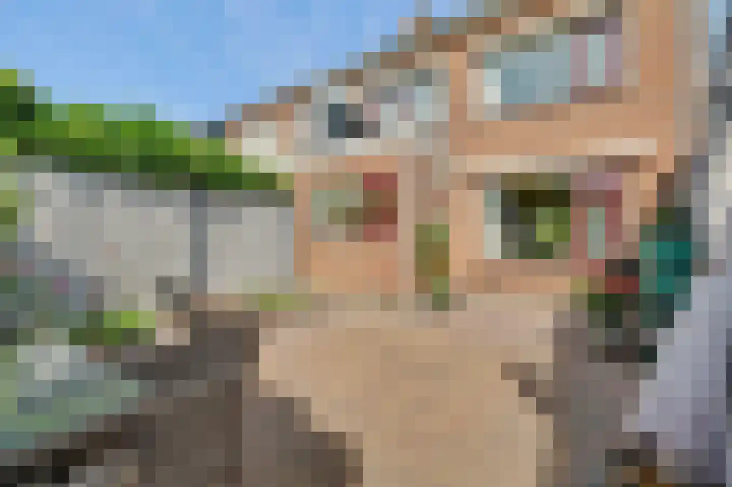 Klaasputhoek 25 Kloetinge thumbnail 38