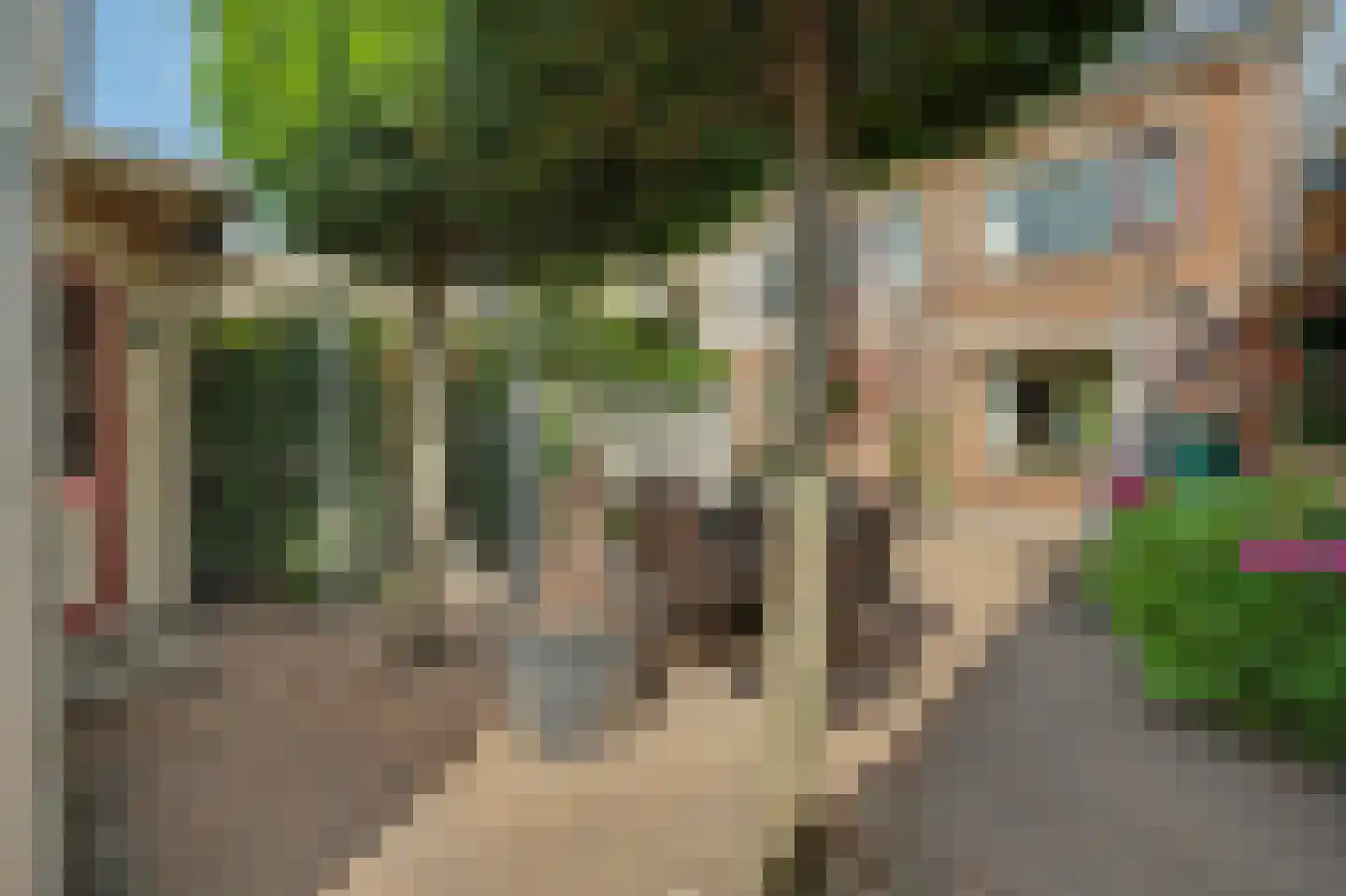 Klaasputhoek 25 Kloetinge thumbnail 39