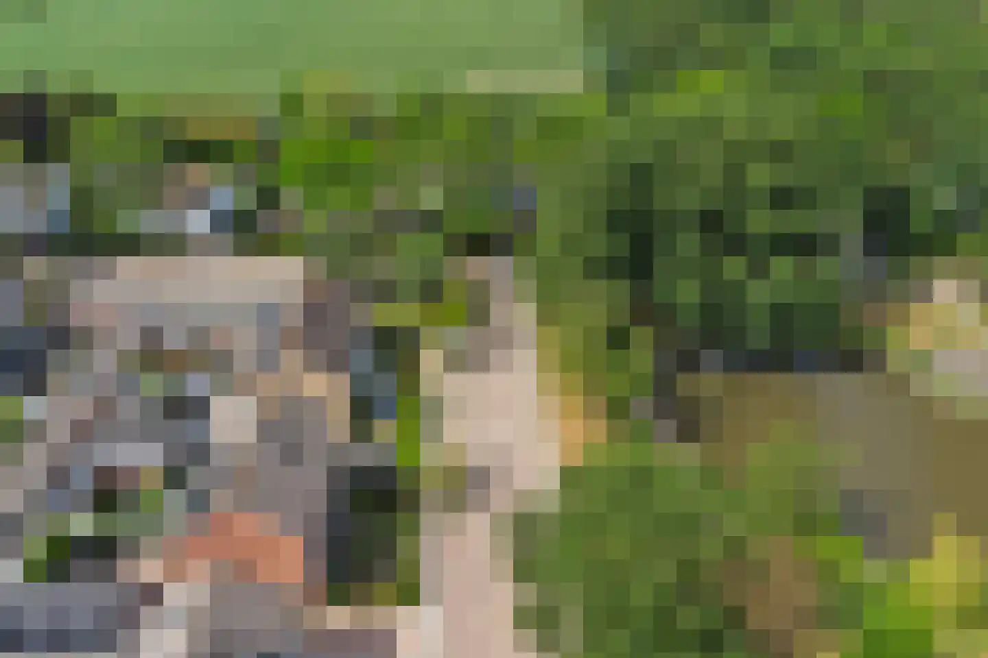 Klaasputhoek 25 Kloetinge thumbnail 43