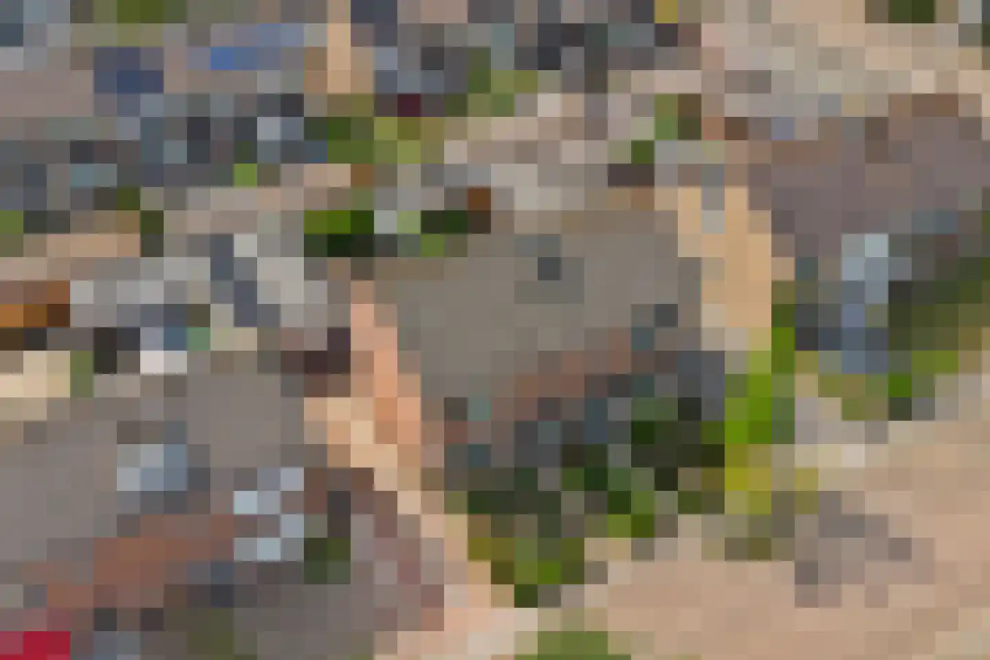 Klaasputhoek 25 Kloetinge thumbnail 48
