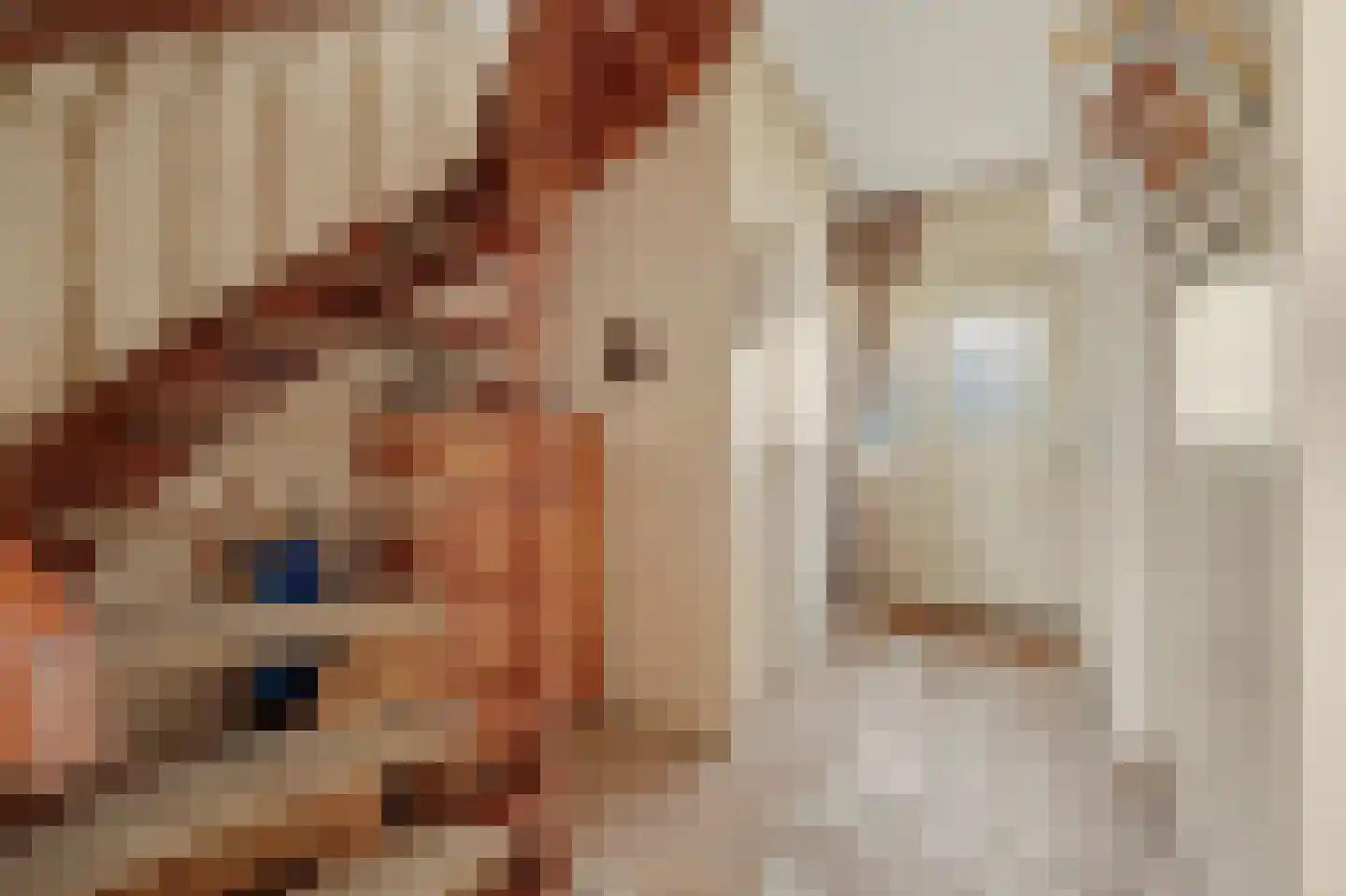 Klaasputhoek 25 Kloetinge thumbnail 7
