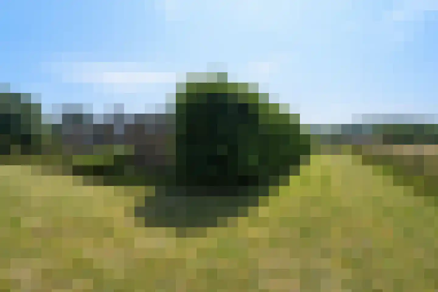 Klaassesweg 1 A Biggekerke thumbnail 10