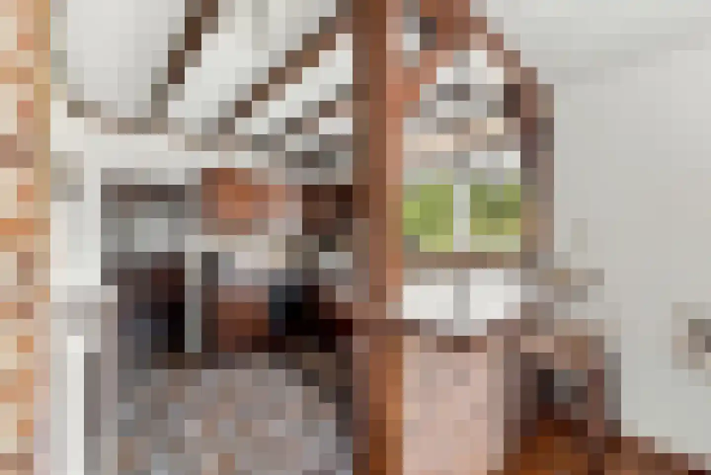Klaassesweg 1 A Biggekerke thumbnail 13