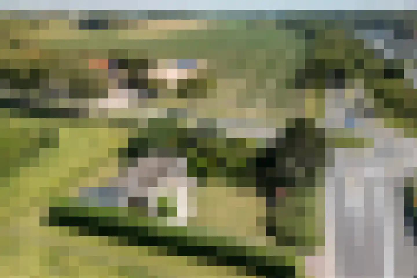Klaassesweg 1 A Biggekerke thumbnail 26