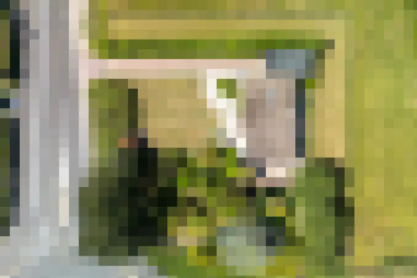 Klaassesweg 1 A Biggekerke thumbnail 4