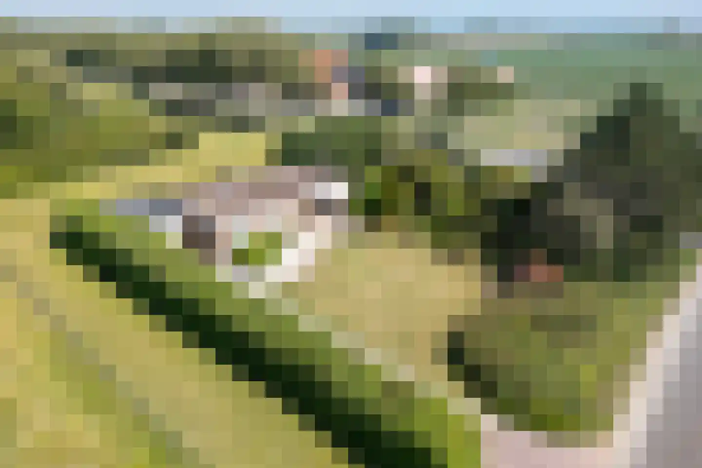 Klaassesweg 1 AR in Biggekerke