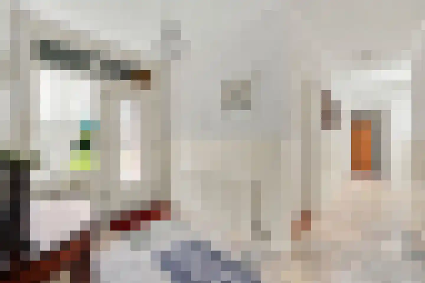 Klaassesweg 1 AR Biggekerke thumbnail 11