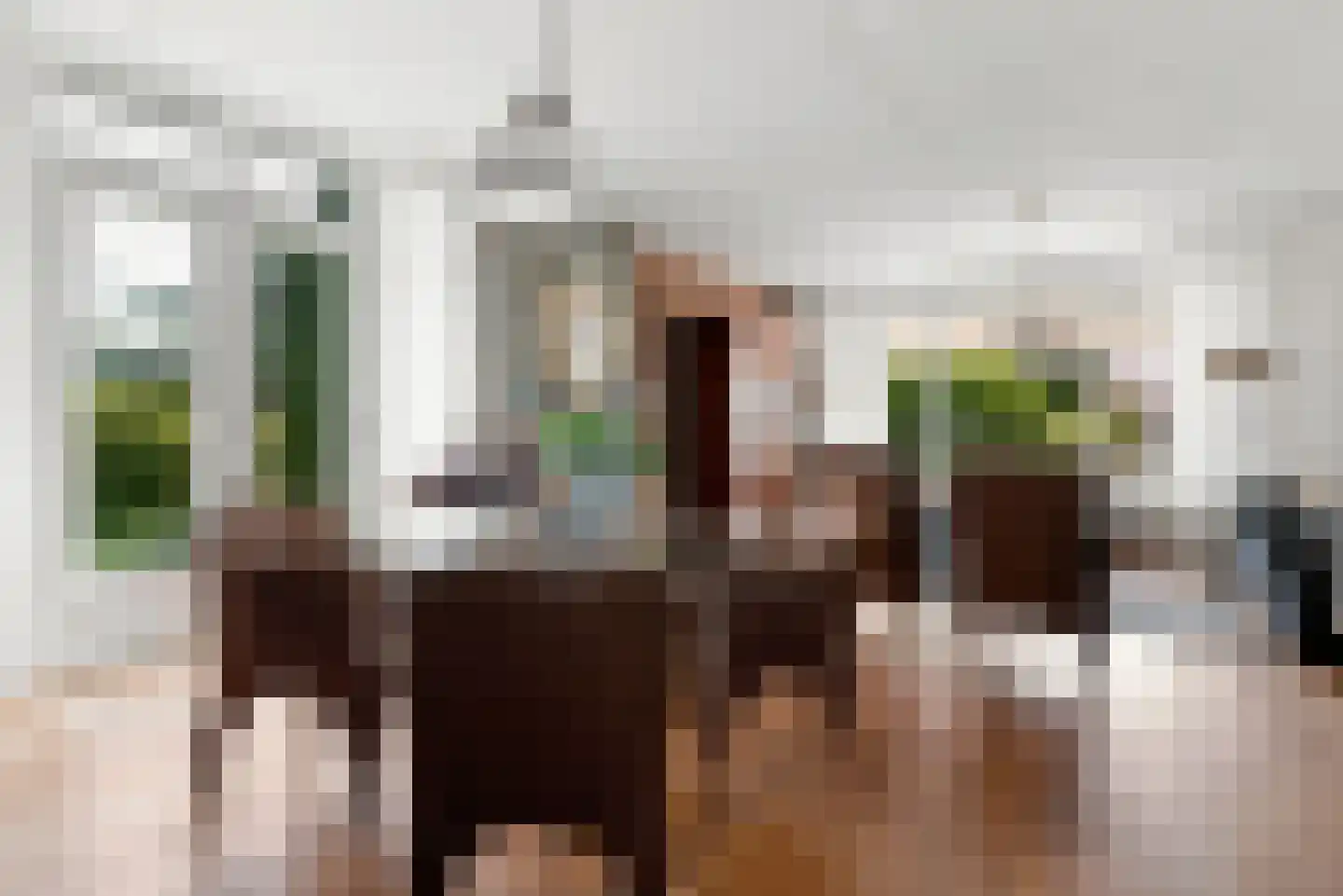 Klaassesweg 1 AR Biggekerke thumbnail 14