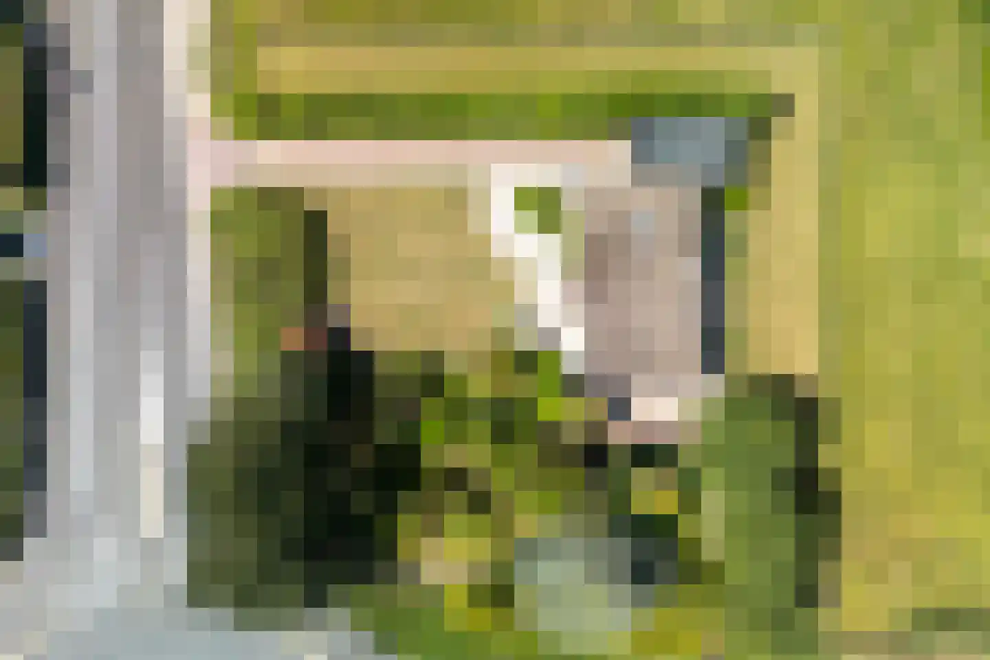 Klaassesweg 1 AR Biggekerke thumbnail 4