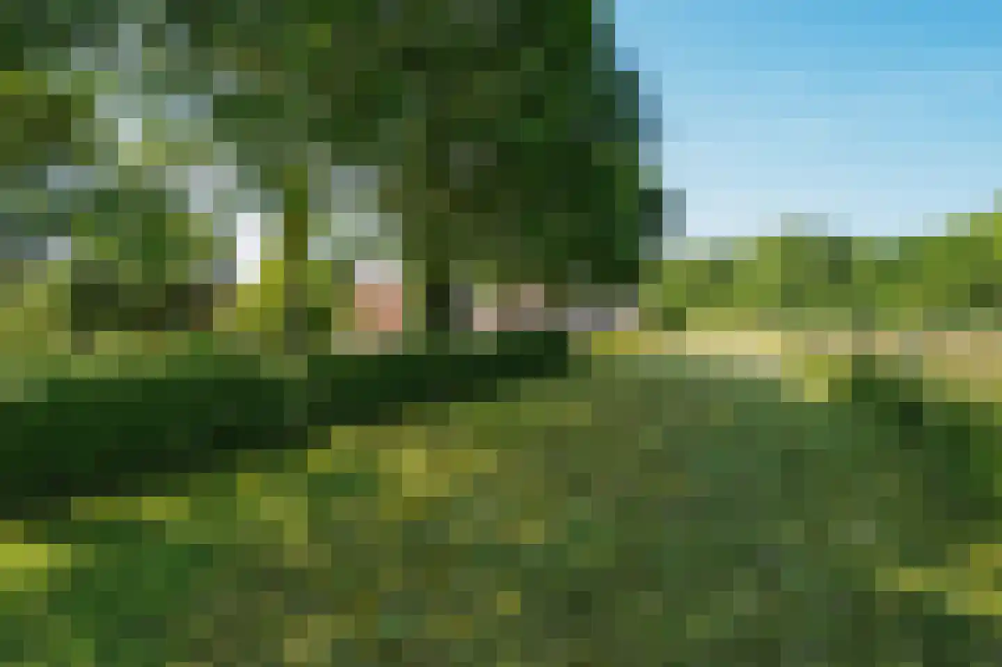 Klaassesweg 1 AR Biggekerke thumbnail 9
