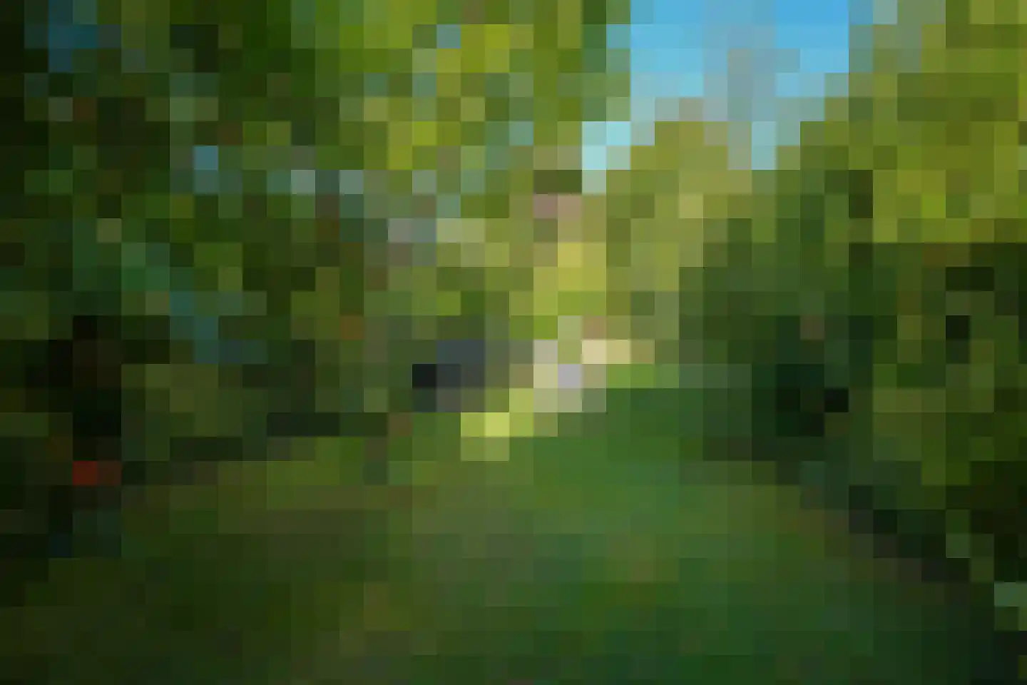 Klaasvelderweg 7 Lemiers thumbnail 27