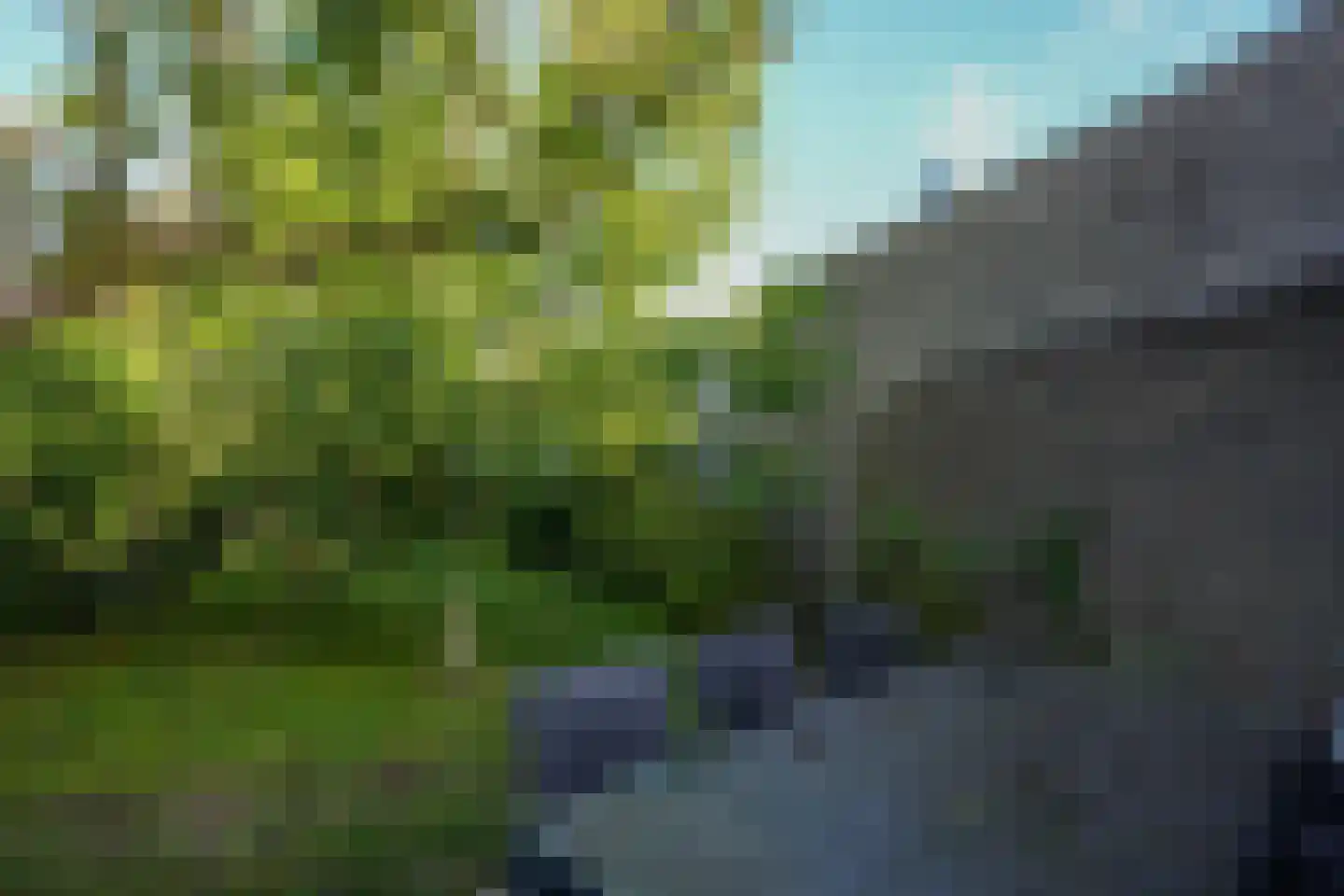 Klaasvelderweg 7 Lemiers thumbnail 29