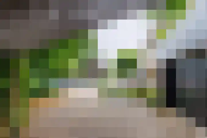 Klabots 12 Best