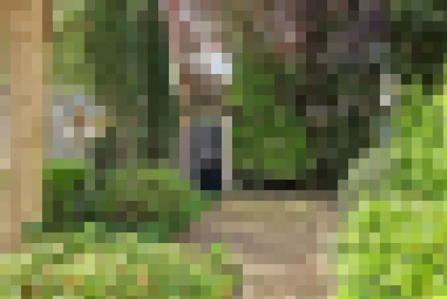 Klabots 26 Best thumbnail 36