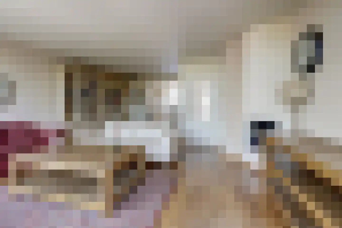 Klabots 26 Best thumbnail 4