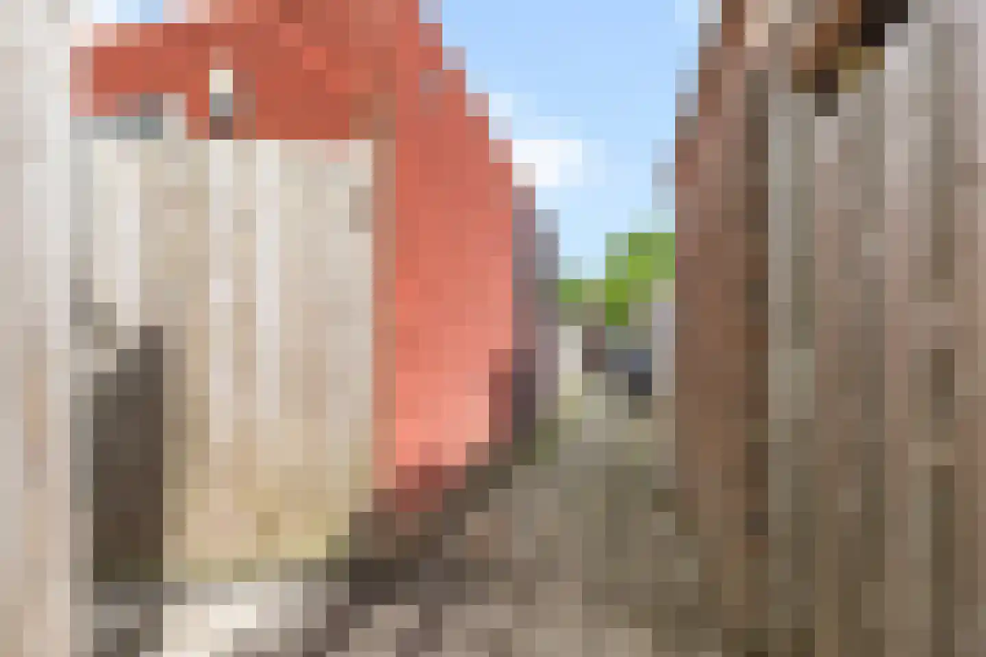 Kladdewortel 12 De Meern thumbnail 30
