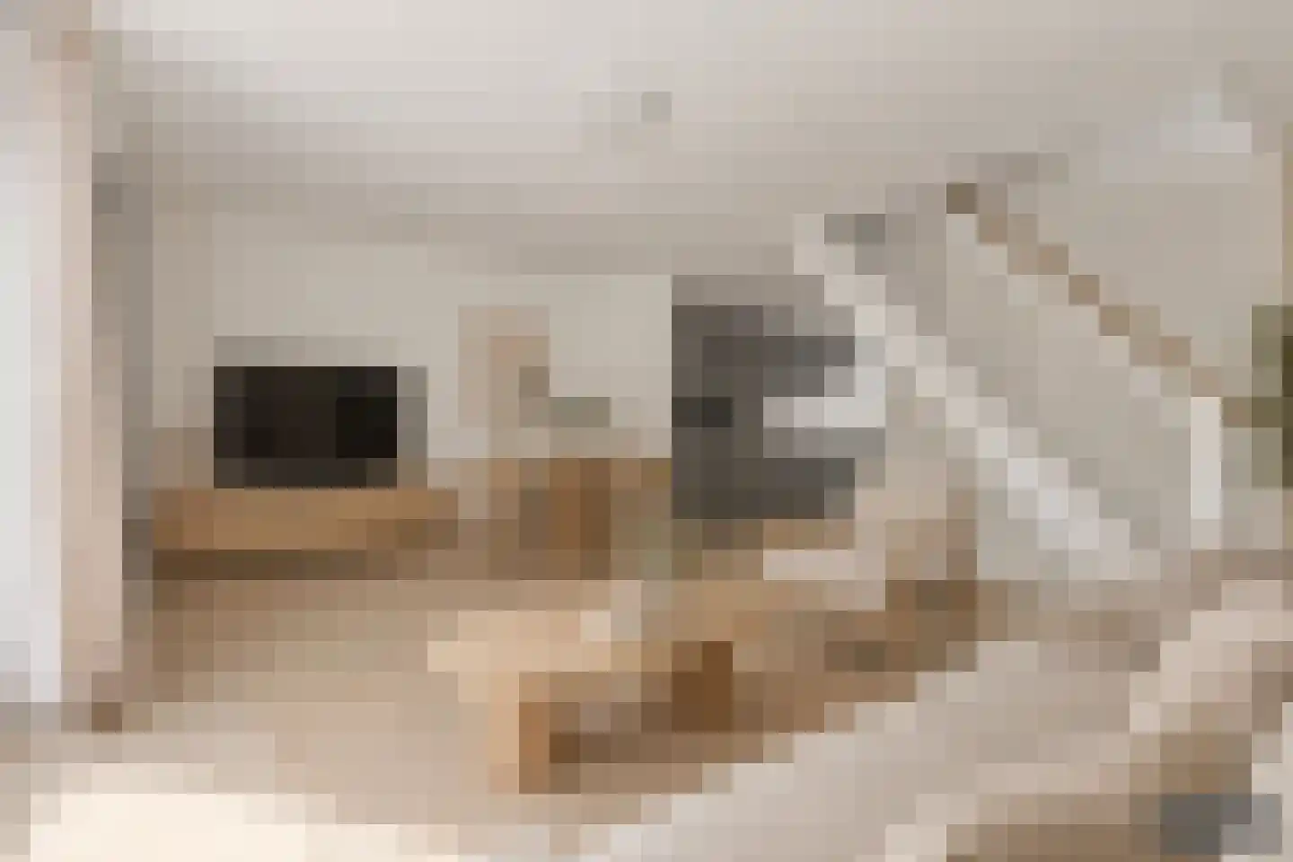 Kladdewortel 12 De Meern thumbnail 6