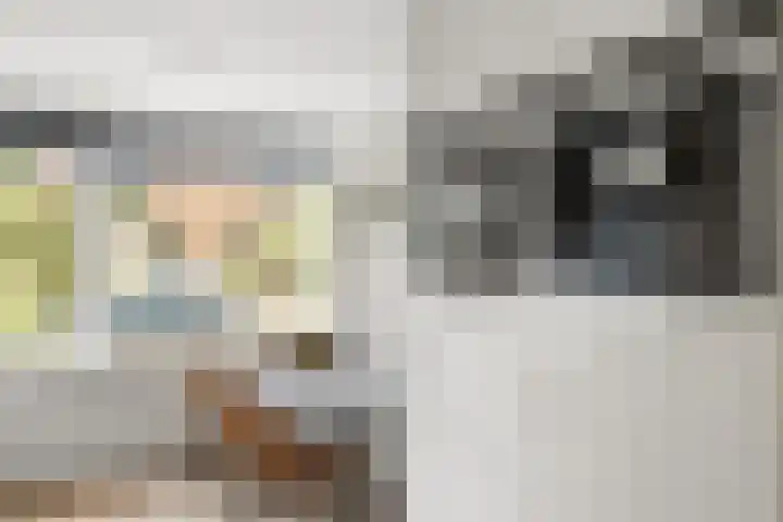 Kladdewortel 6 De Meern thumbnail 14