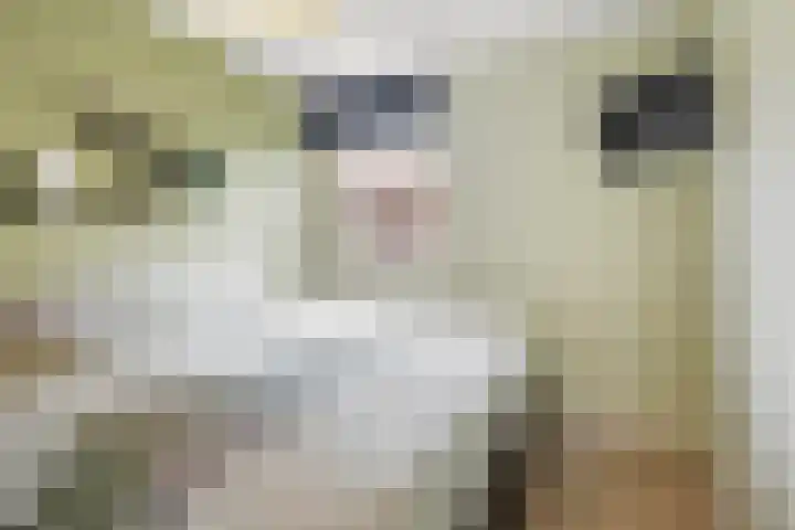 Kladdewortel 6 De Meern thumbnail 20