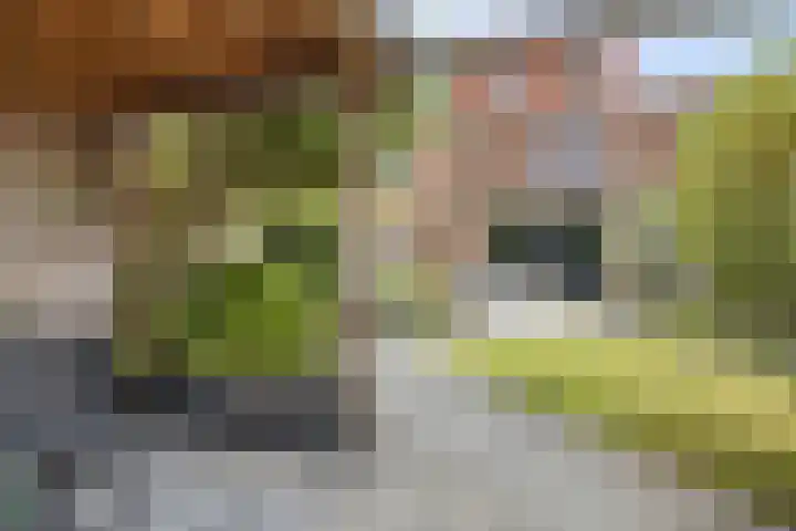 Kladdewortel 6 De Meern thumbnail 4