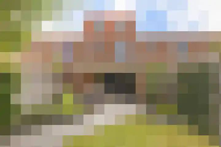 Kladdewortel 6 De Meern thumbnail 48