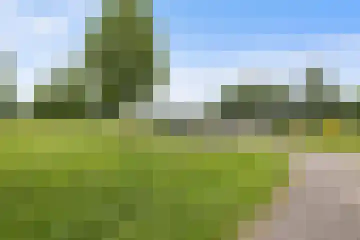 Kladdewortel 6 De Meern thumbnail 56
