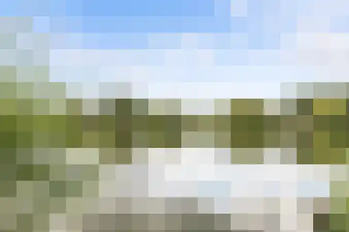 Kladdewortel 6 De Meern thumbnail 58