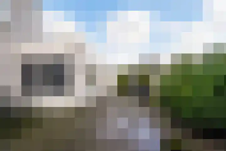 Kladdewortel 6 De Meern thumbnail 6