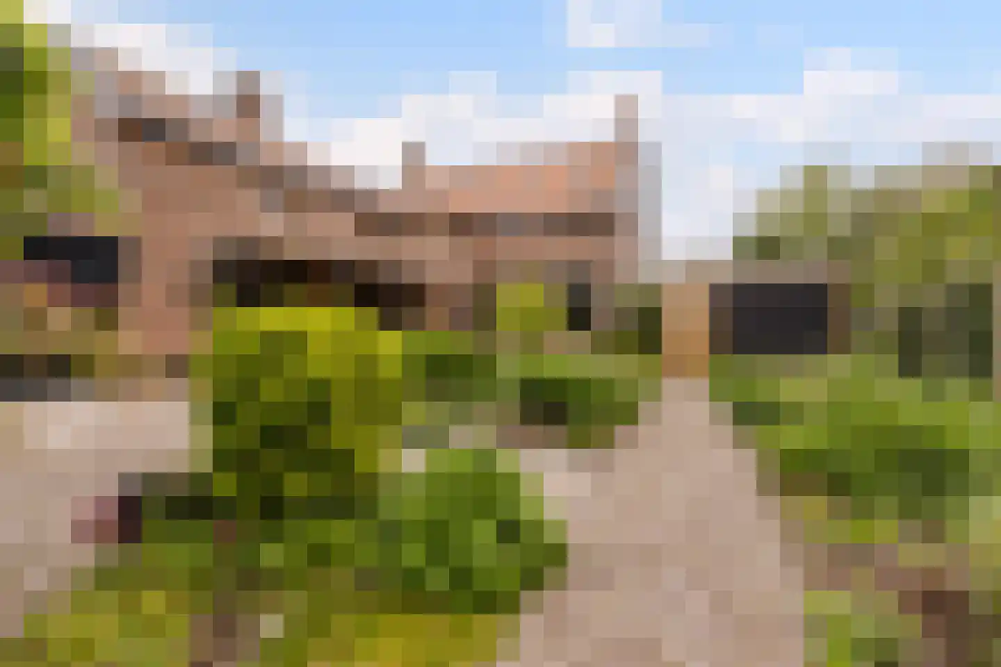 Kladseweg 65 Lepelstraat thumbnail 6