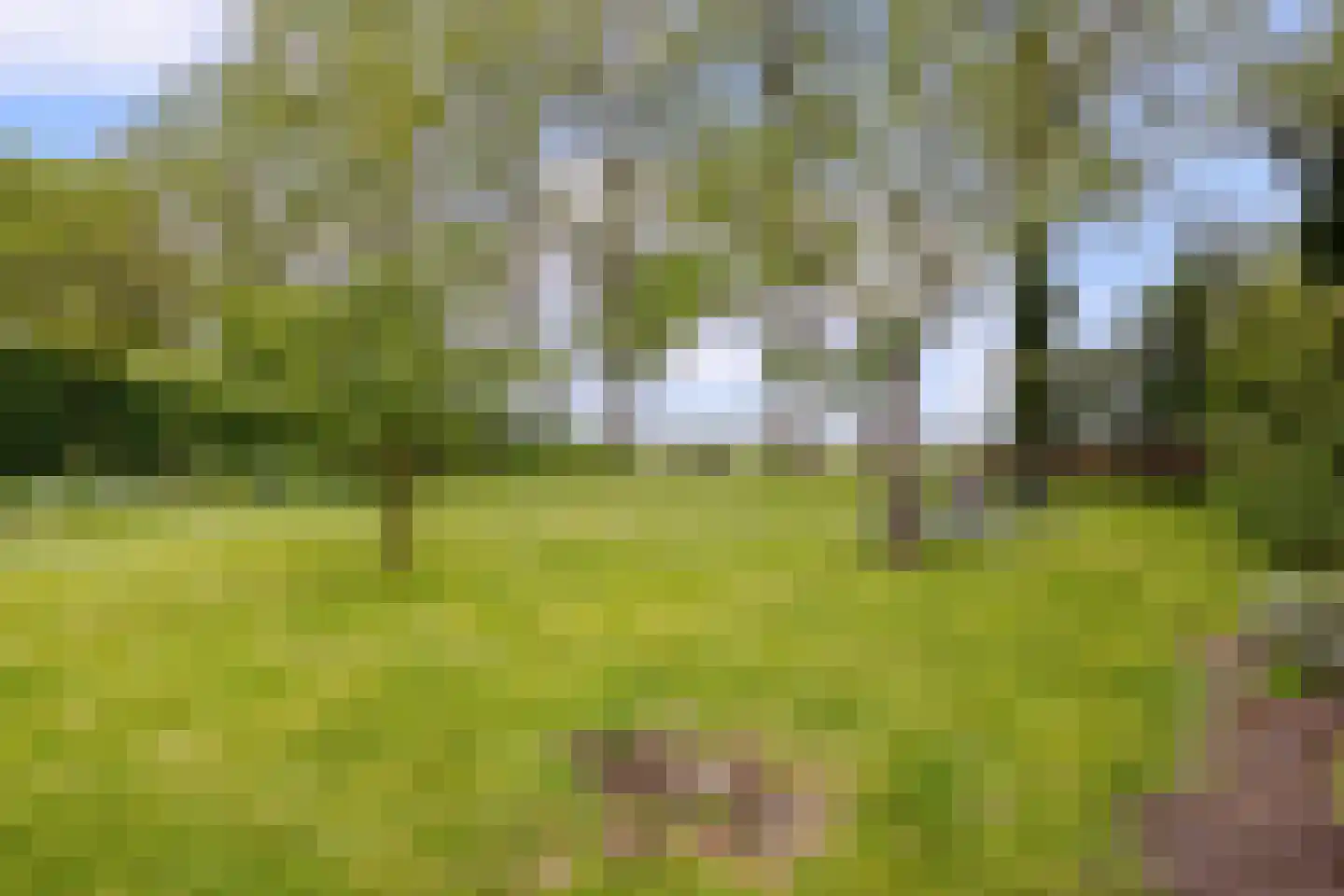 Kladseweg 65 Lepelstraat thumbnail 83