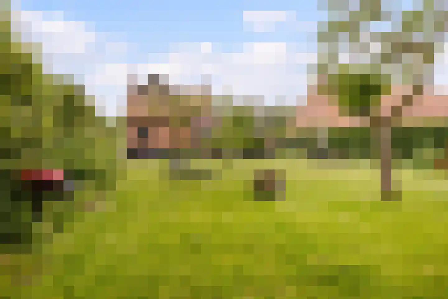 Kladseweg 65 Lepelstraat thumbnail 84