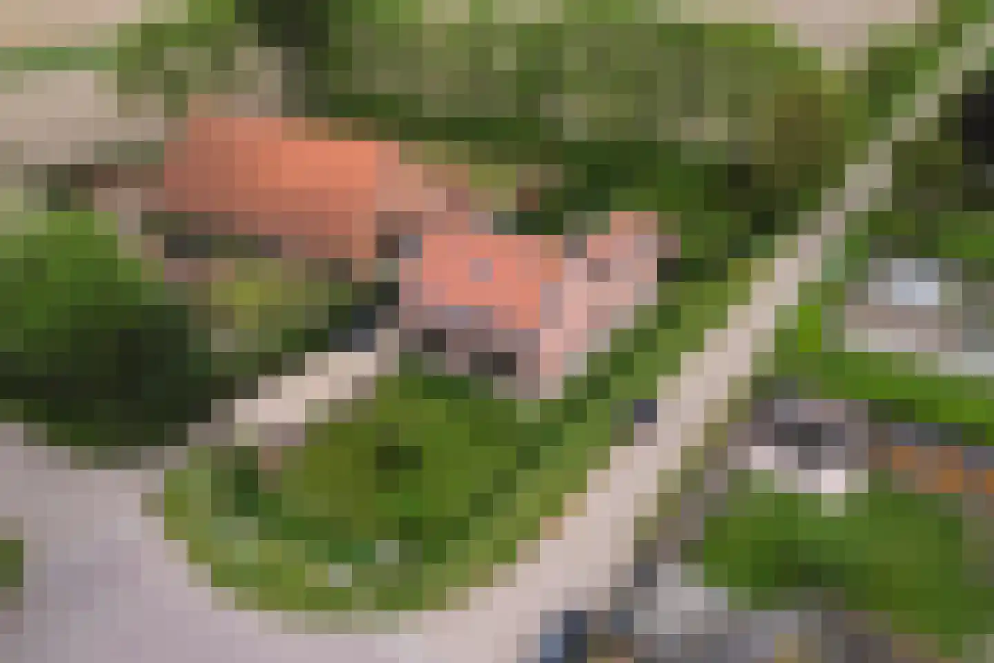 Kladseweg 65 Lepelstraat thumbnail 9