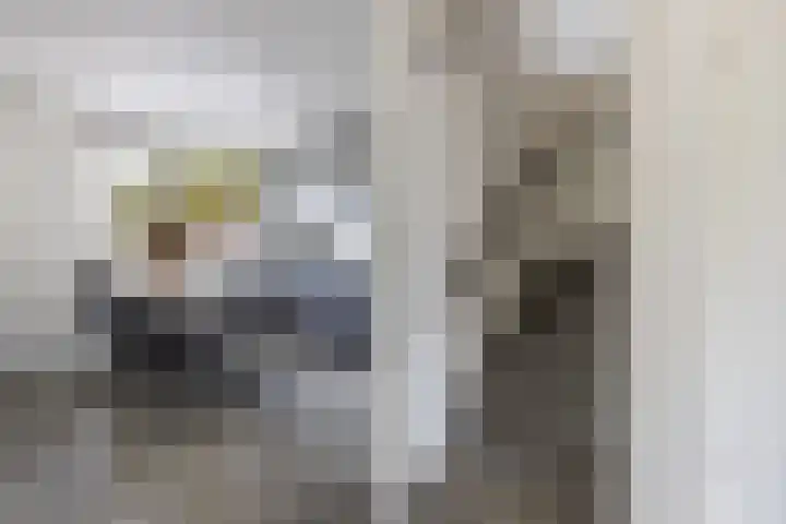 Klaeterlaene 15 De Hoeve thumbnail 14