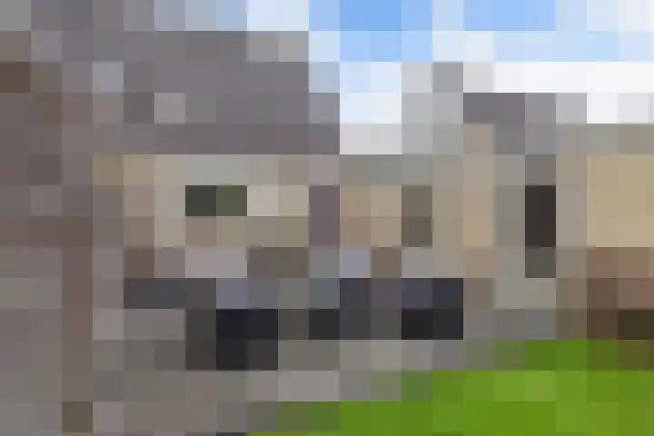 Klaeterlaene 15 De Hoeve thumbnail 34