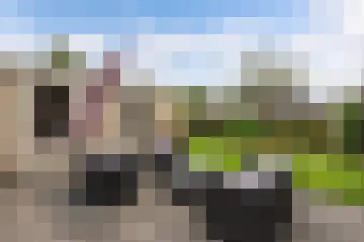 Klaeterlaene 15 De Hoeve thumbnail 36