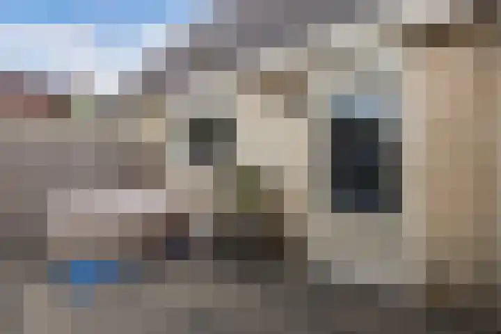 Klaeterlaene 15 De Hoeve thumbnail 37