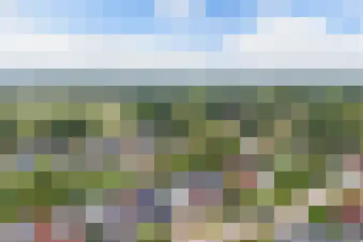 Klaeterlaene 15 De Hoeve thumbnail 4