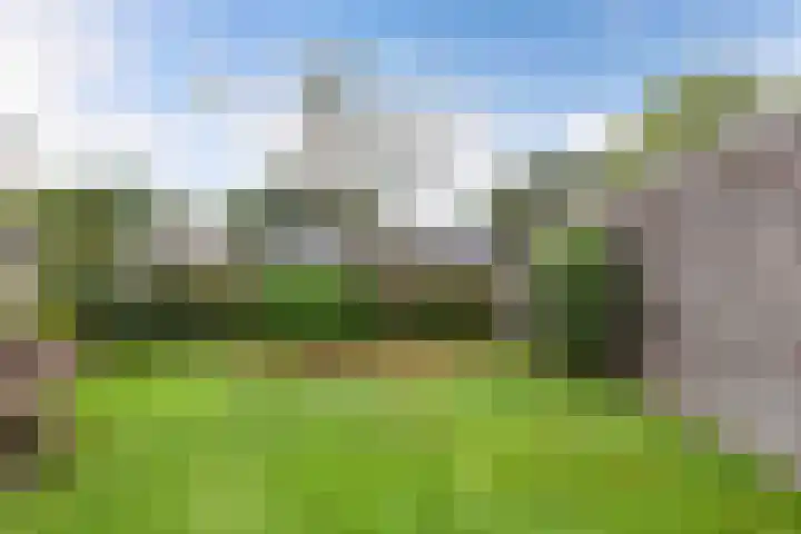 Klaeterlaene 15 De Hoeve thumbnail 40