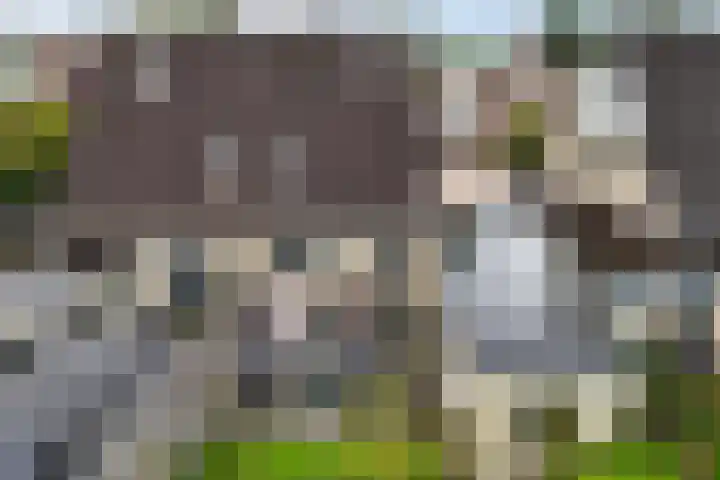 Klaeterlaene 15 De Hoeve thumbnail 43