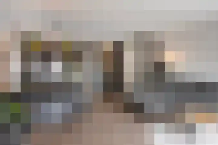 Klagerstuin 10 Zwaag thumbnail 17