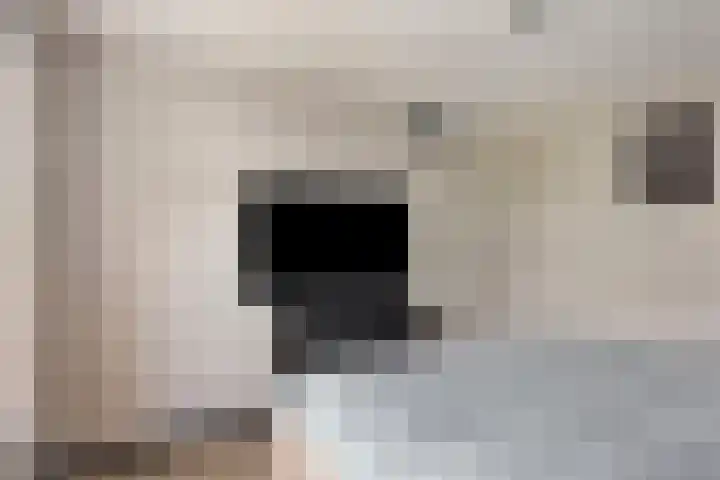 Klagerstuin 10 Zwaag thumbnail 20
