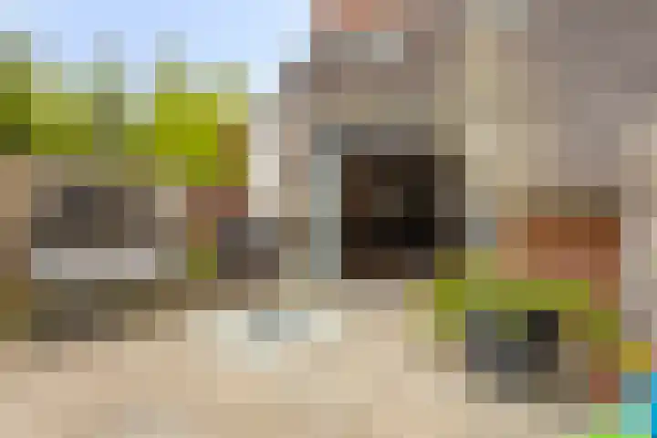 Klagerstuin 10 Zwaag thumbnail 33
