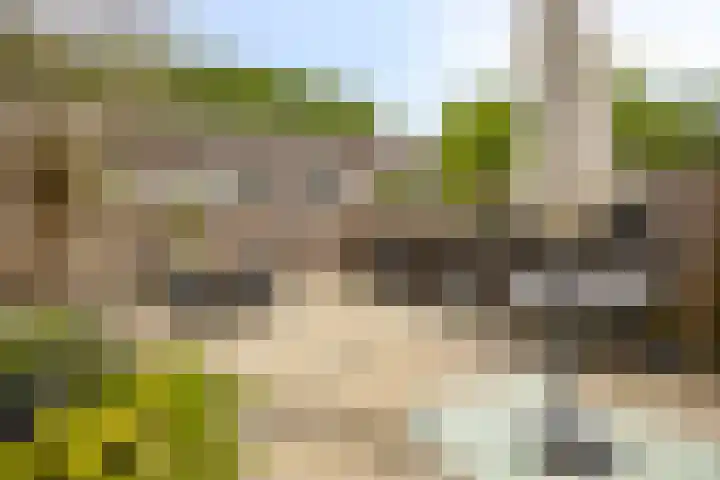 Klagerstuin 10 Zwaag thumbnail 35