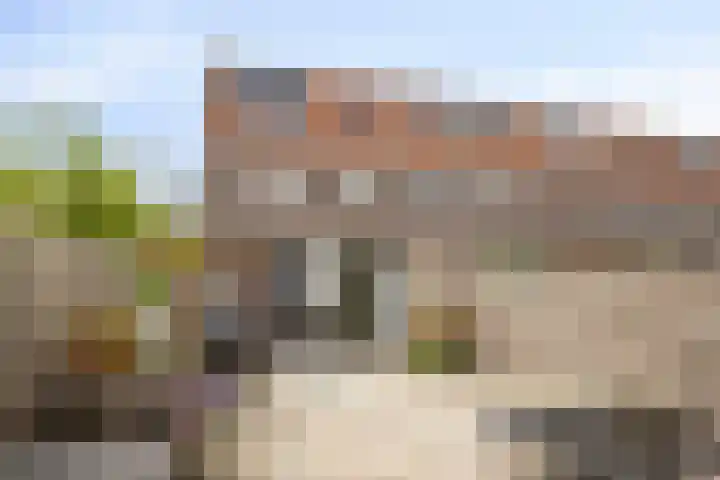 Klagerstuin 10 Zwaag thumbnail 36
