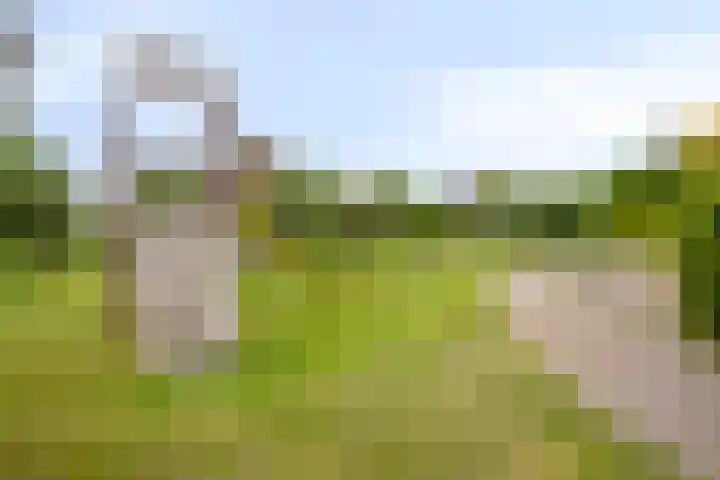 Klagerstuin 10 Zwaag thumbnail 37